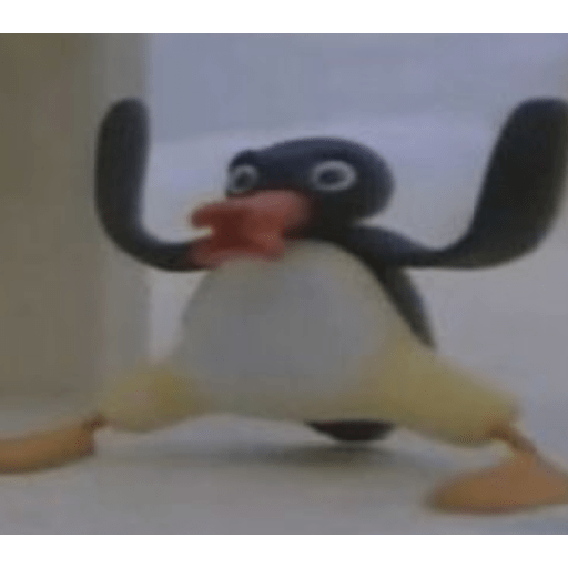 Pingu 17