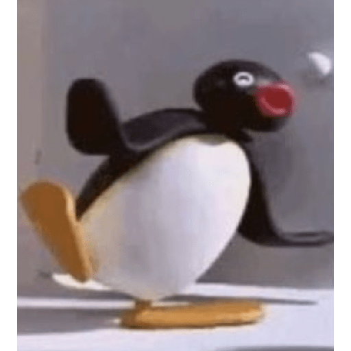 Pingu 24