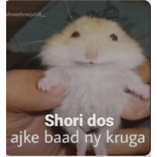 Random shit 13