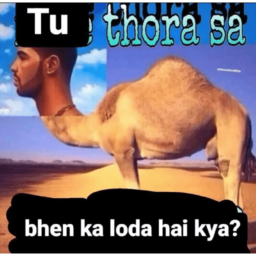 Random shit 14