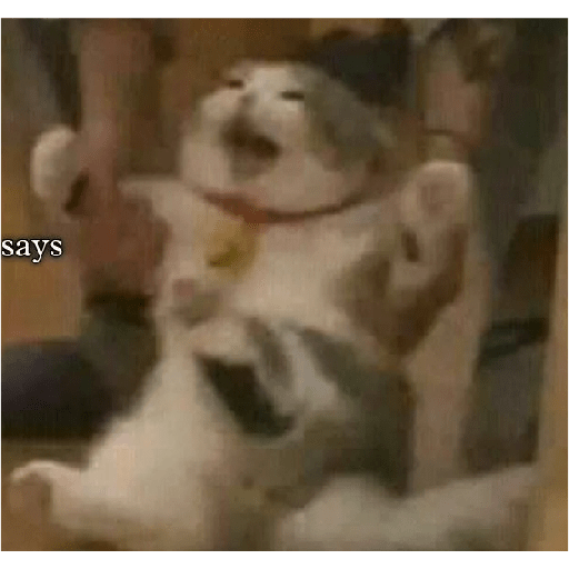 Random shit 18