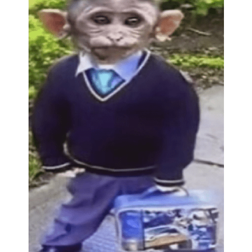 Random shit 11