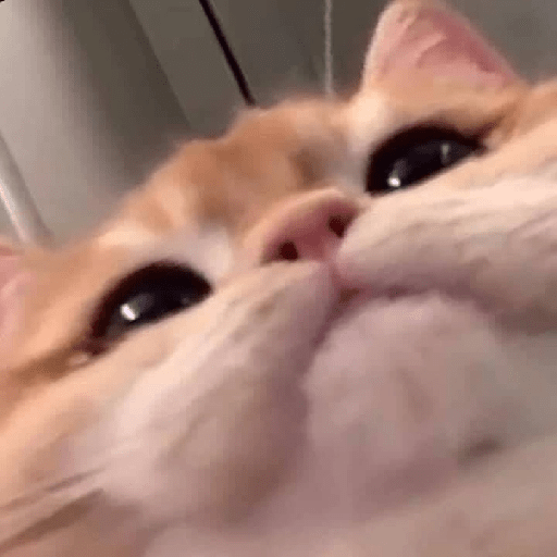 Random shit 22