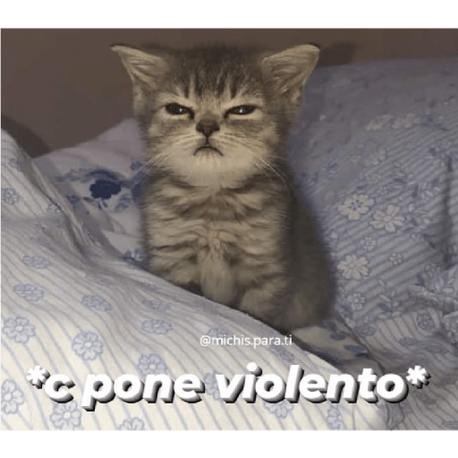 * NO DIGAS MAMADAS GARFIELD * 20
