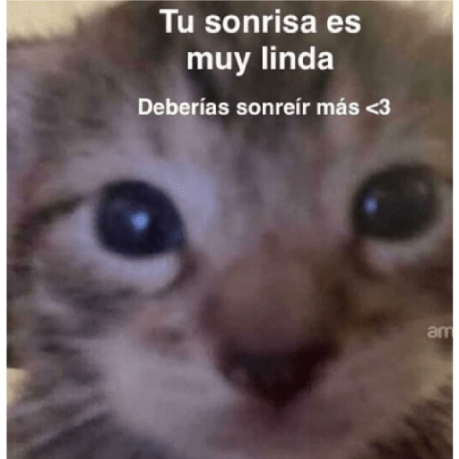 * NO DIGAS MAMADAS GARFIELD * 22