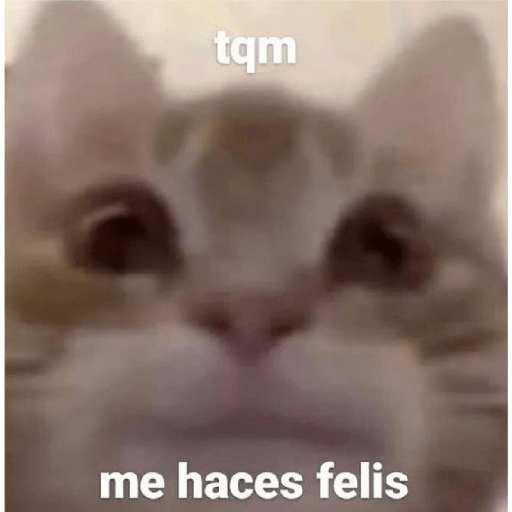 * NO DIGAS MAMADAS GARFIELD * 10