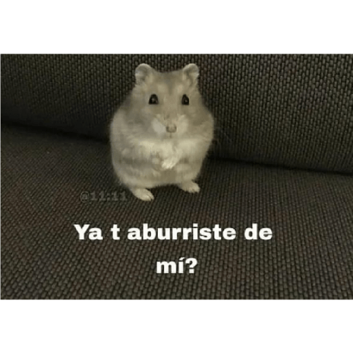 * NO DIGAS MAMADAS GARFIELD * 24