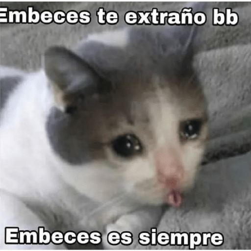 * NO DIGAS MAMADAS GARFIELD * 9