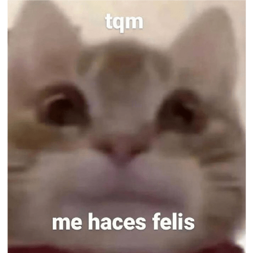 * NO DIGAS MAMADAS GARFIELD * 23