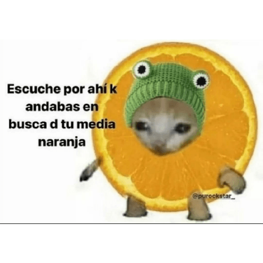 * NO DIGAS MAMADAS GARFIELD * 11