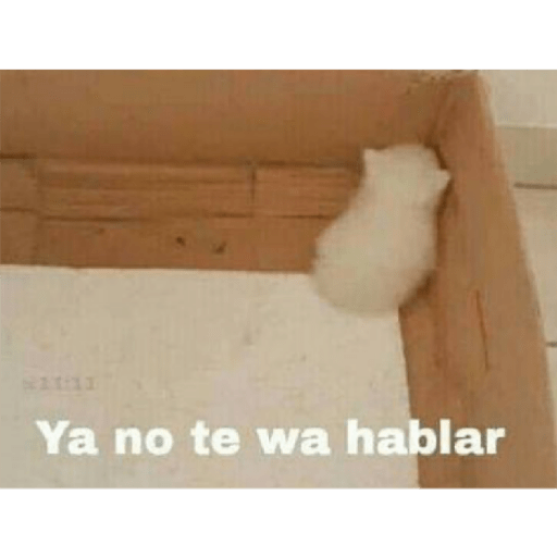 * NO DIGAS MAMADAS GARFIELD * 13