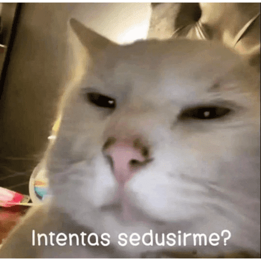 Mis pegatinas 26