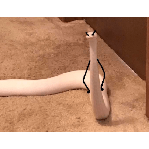 ._? 8