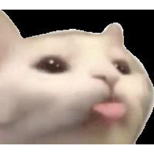 ._? 17