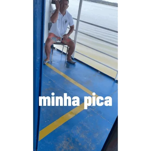 Minhas figurinhas 17