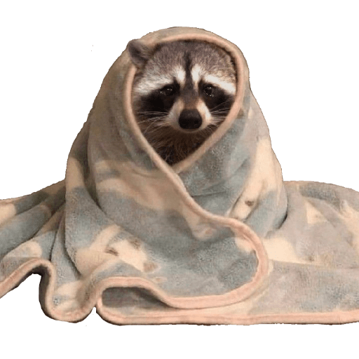 Mapaches