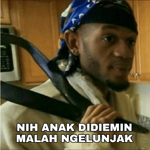 Meme Random V2 17