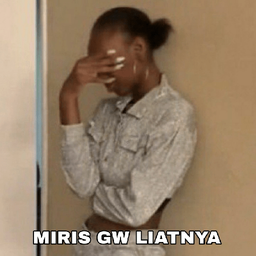 Meme Random V2 15