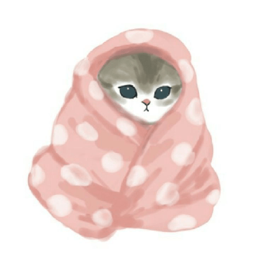 ๑  ค   ˙  ︩︩miau    ๑ ˙ 17