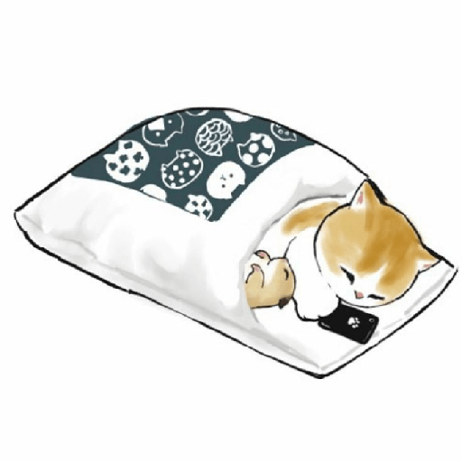 ๑  ค   ˙  ︩︩miau    ๑ ˙ 25