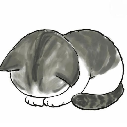 ๑  ค   ˙  ︩︩miau    ๑ ˙ 4