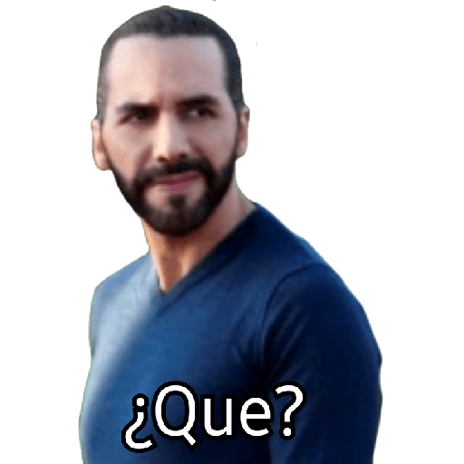 El presi Nayib 6