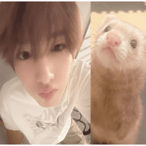 Sᥲkᥙᥡᥲ ( ᑲᥡ mᥲttһ ฅ ) 7