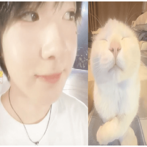 Sᥲkᥙᥡᥲ ( ᑲᥡ mᥲttһ ฅ ) 6