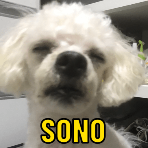 Memes3 16