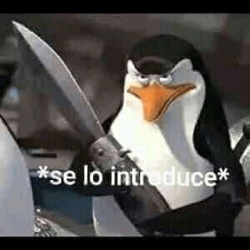 Momos 19