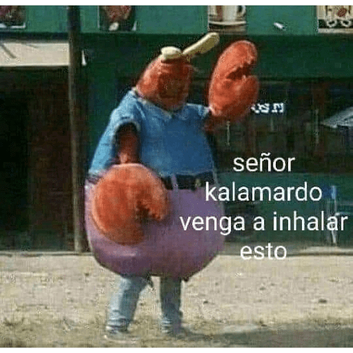 Momos 6