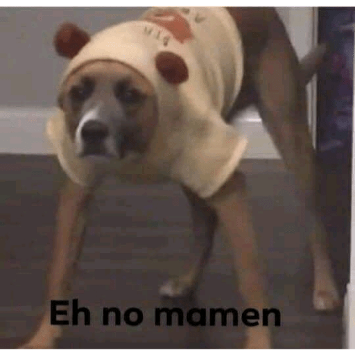 Momos 17