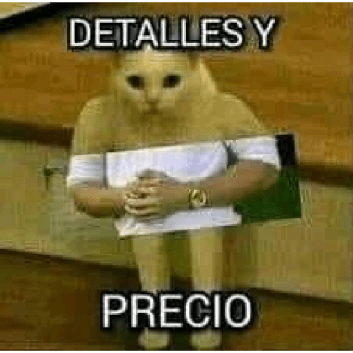 Momos 16