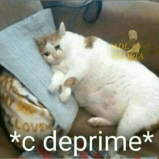 Momos 25