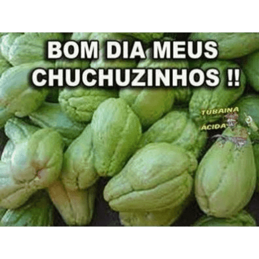 Figurinhas 4 19