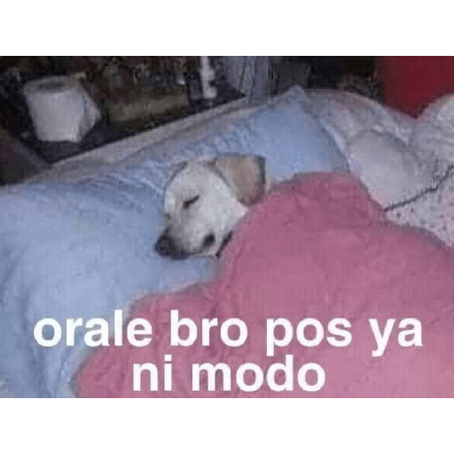 Lo que sea LR 13