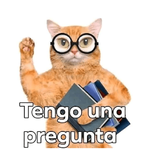 Lo que sea LR 16