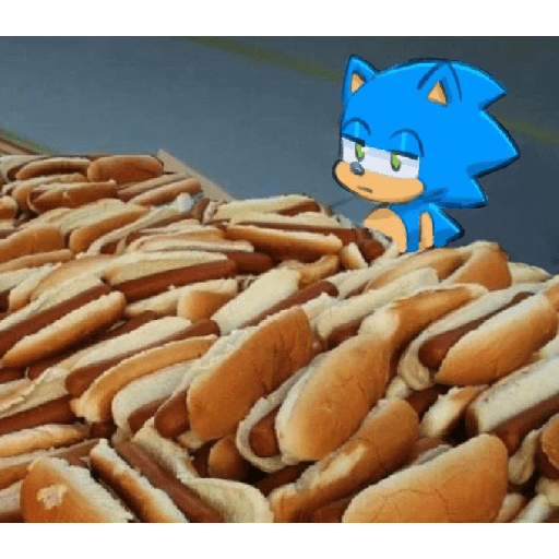 Sonic 9