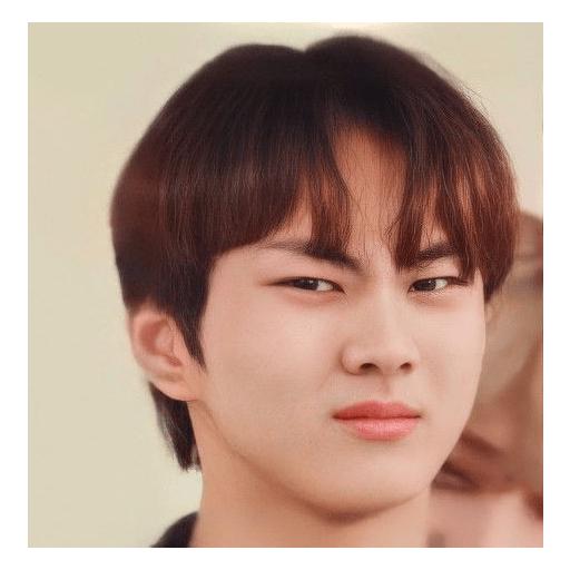 Jungwon meme stiker 29