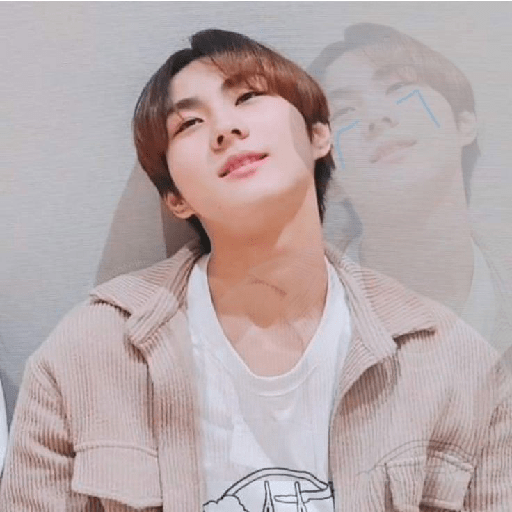 Jungwon meme stiker 9
