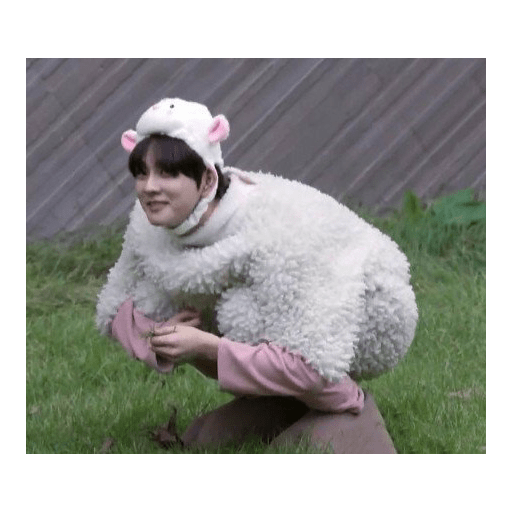 Jungwon meme stiker 26
