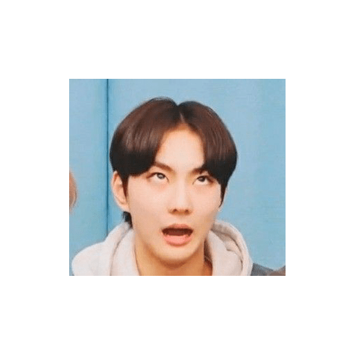 Jungwon meme stiker 8