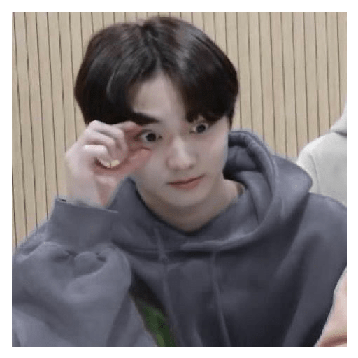 Jungwon meme stiker 30