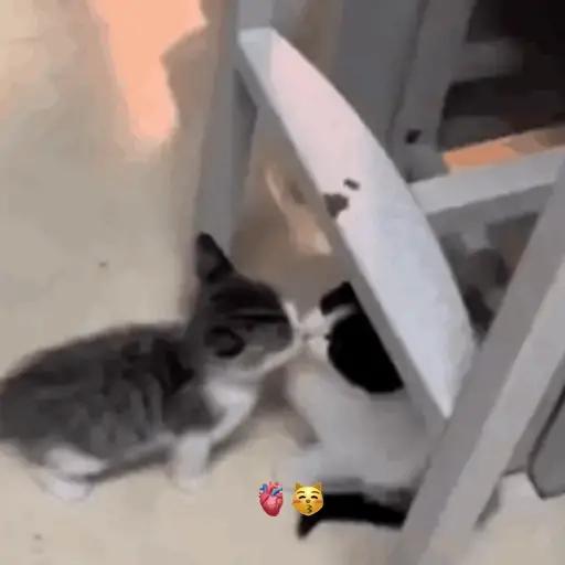 Steam Emojis 14