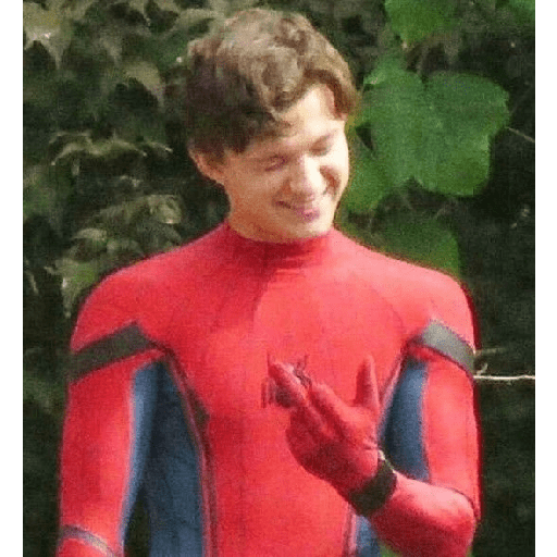 Tom holland 2