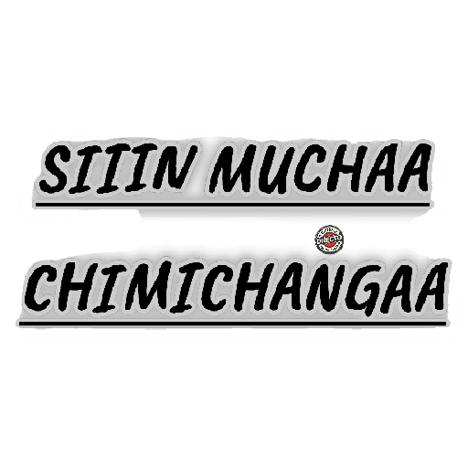 Chismedirecto 9