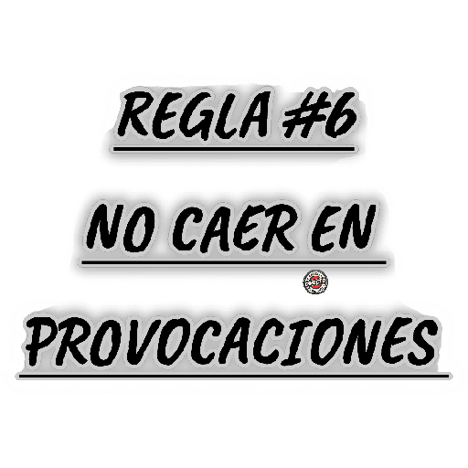 Chismedirecto 15