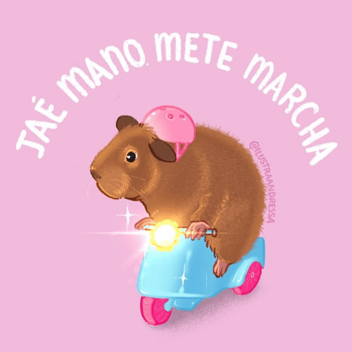 Pack 8 🩷 3