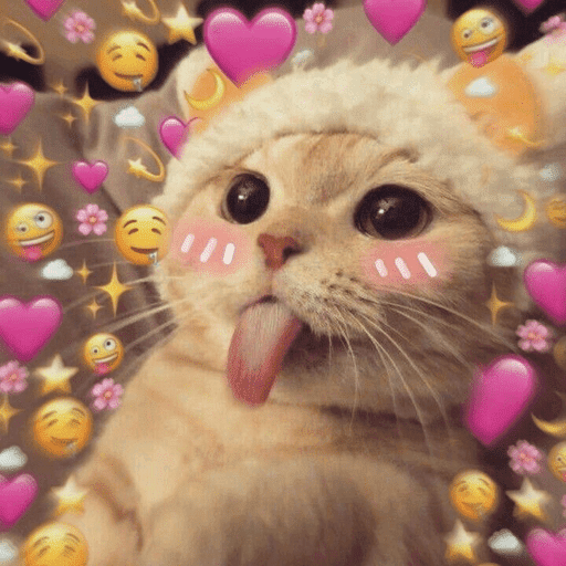 🐈‍⬛ Cat  Cats 💕7 8