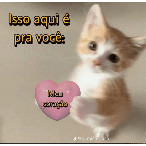 🐈‍⬛ Cat  Cats 💕7 13